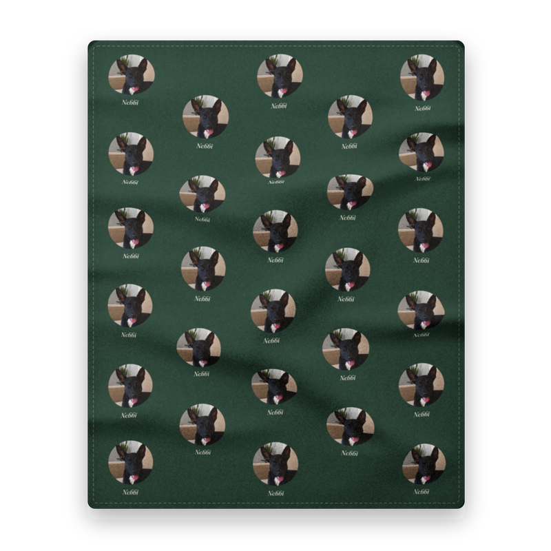 The Studio Blanket, custom pet portrait, Studio Green front