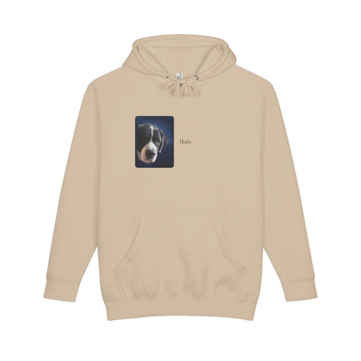 The Studio Hoodie