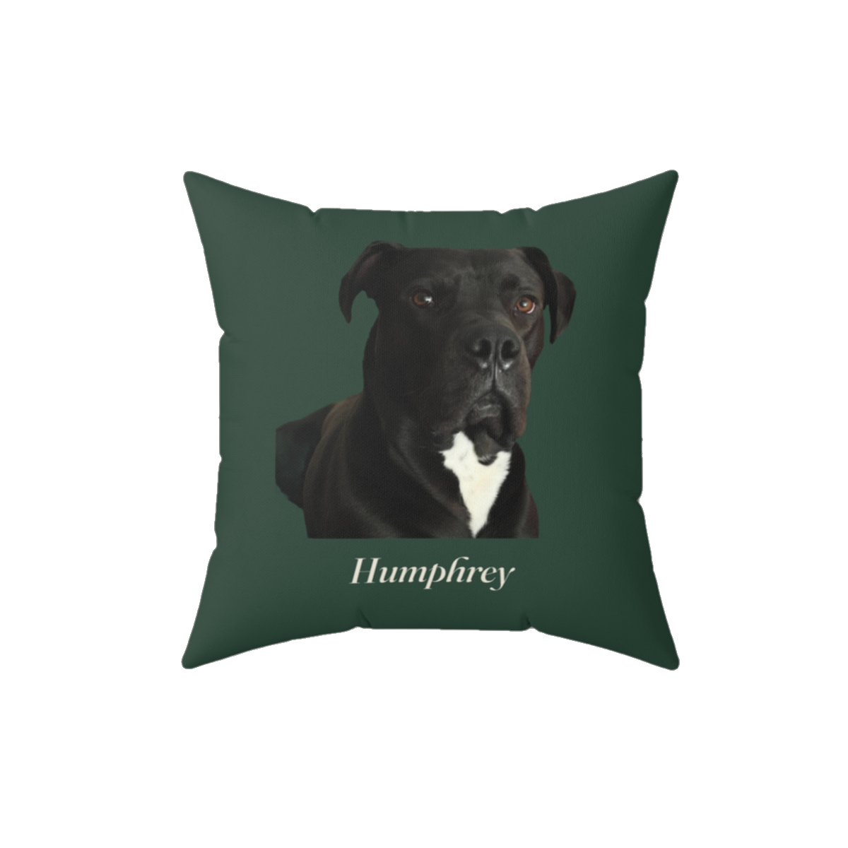 The Studio Pillow