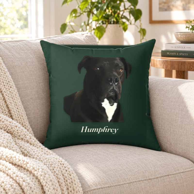 Lifestyle mockup: The Studio Pillow on a sofa, with our sample portrait