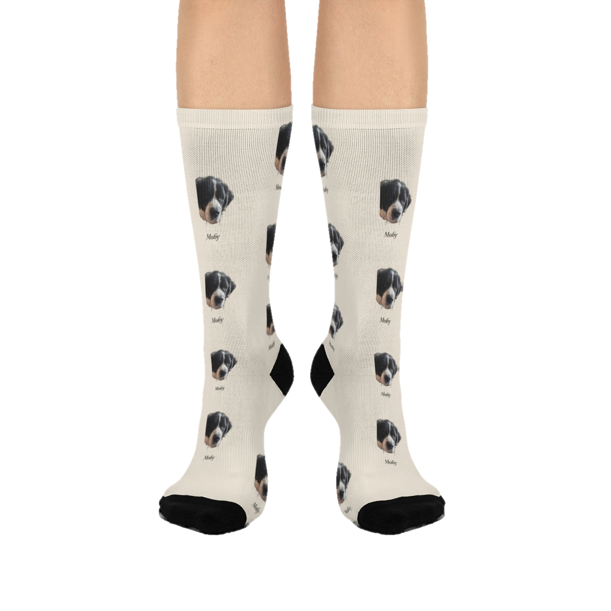 The Studio Socks