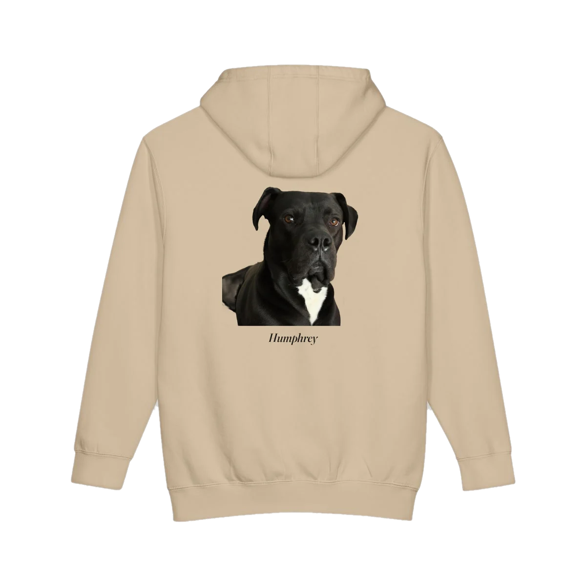 The Studio Hoodie