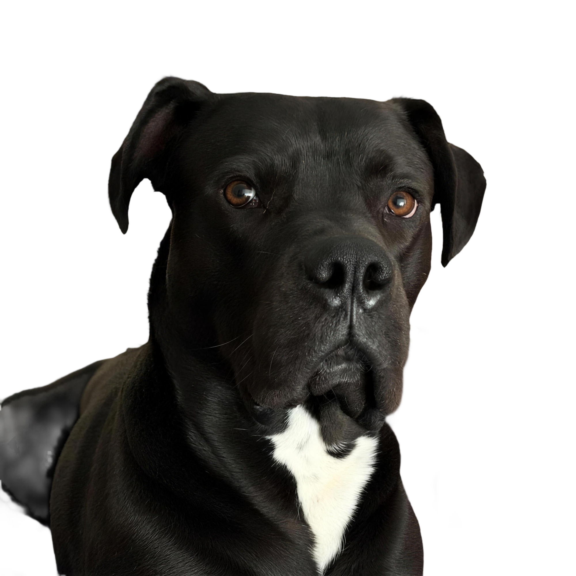 Humphrey