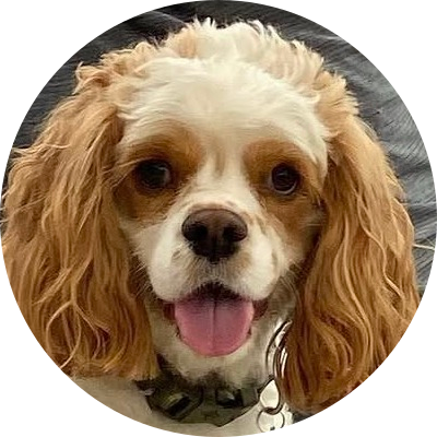 Winston